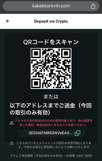 賭けっ子リンリン入金ビットコインサンプル