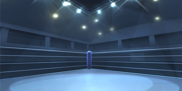 総合格闘技・ボクシングの特徴