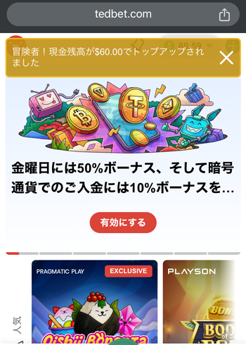 テッドベットペイズ入金04