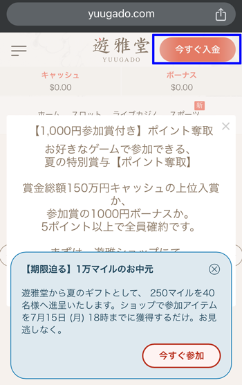 遊雅堂銀行入金01