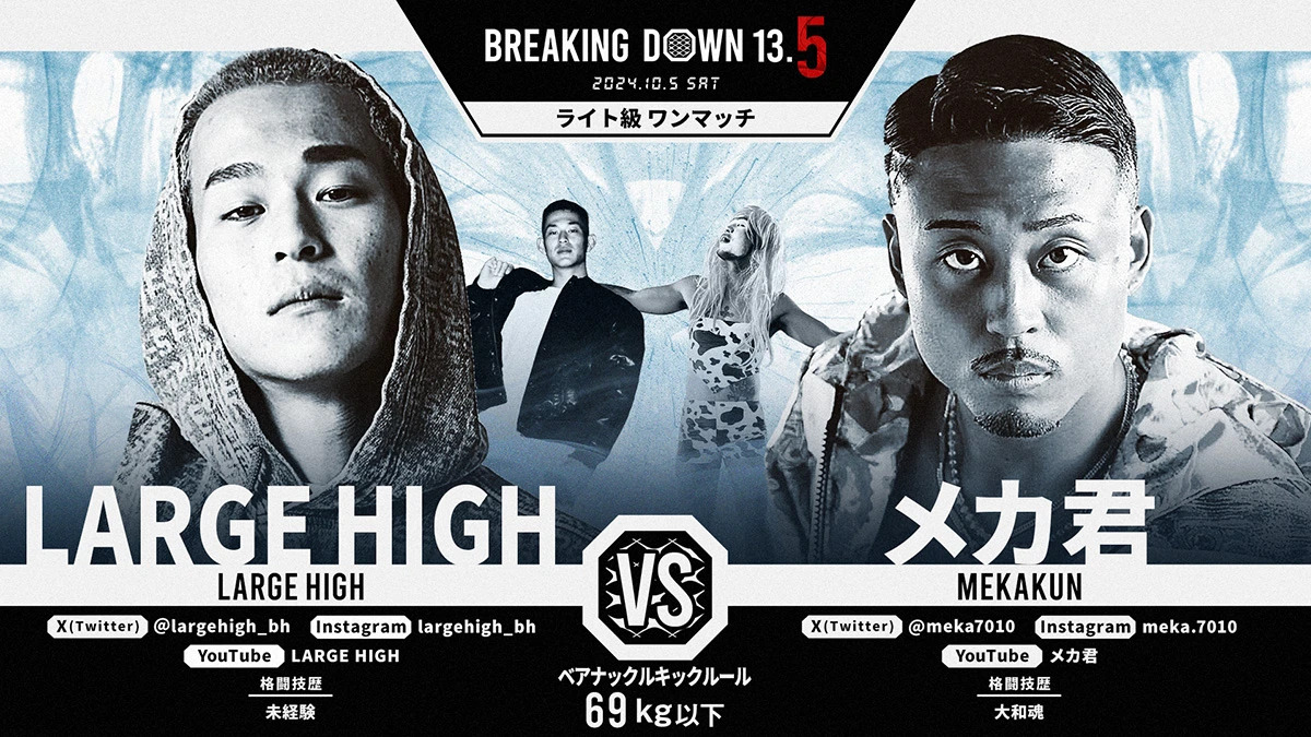 LARGE HIGH vs メカ君