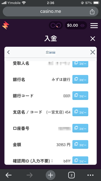 カジノミー銀行入金サンプル