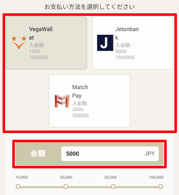 支払い方法と入金額を入力