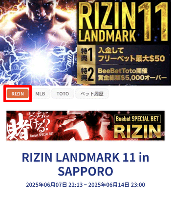 RIZIN LANDMARK 11のページに移行